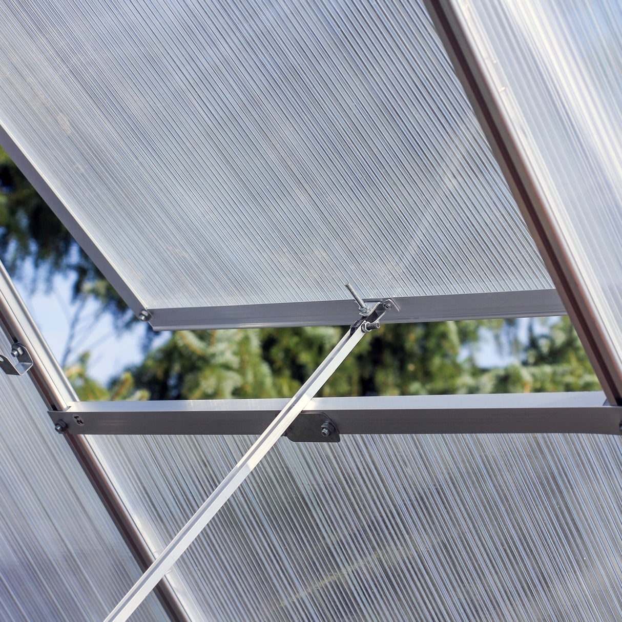 Transparente Polycarbonatplatten des Gewächshauses mit silbernem Aluminiumrahmen, darunter zwei wasserfeste Regale für Pflanzen und Zubehör