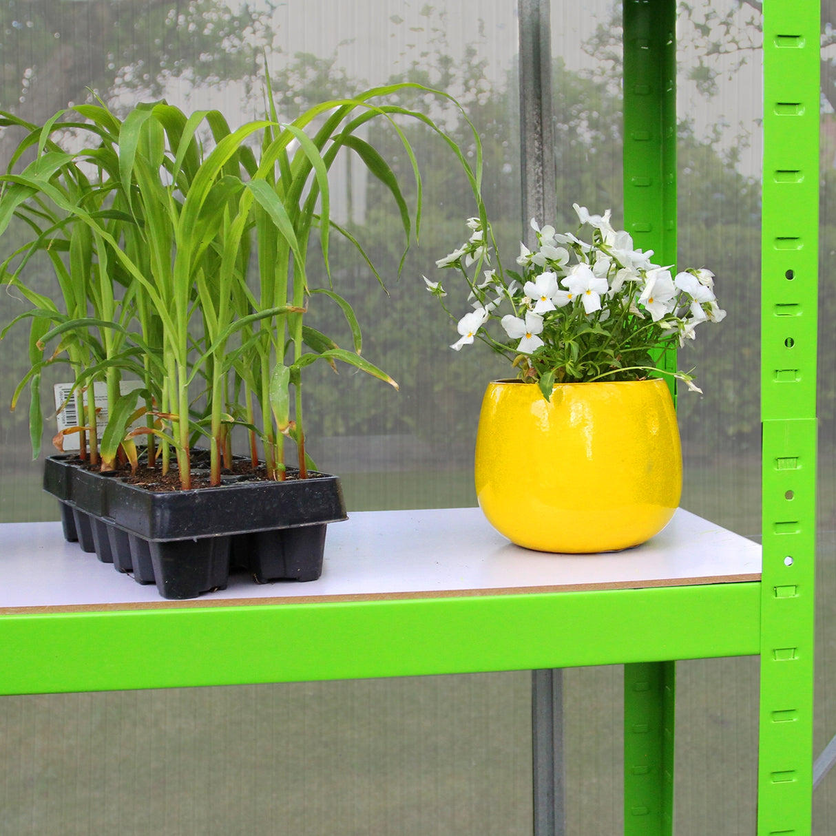 Gewächshaus 1.8m x 1.2m ohne Boden