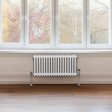 Traditioneller 2-Spalten-Heizkörper - 300 x 832 mm - Weiß