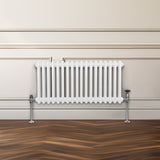 Traditioneller 2-Spalten-Heizkörper - 300 x 832 mm - Weiß
