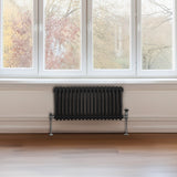 Traditioneller 2-Spalten-Heizkörper - 300 x 832 mm - Schwarz