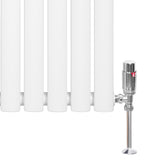Weißer Gliederheizkörper mit TRV Chromventilen, 600mm x 780mm, glänzende Oberfläche und schlankes Design, ideal für moderne Wohnräume