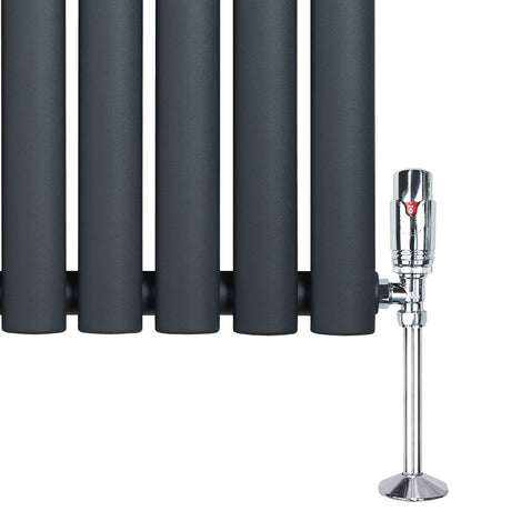 Anthrazitgrauer Gliederheizkörper mit TRV Chromventilen, 1800mm x 480mm, zeigt glatte, matte Oberfläche und elegante, moderne Linienführung