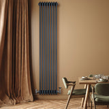 Röhrenheizkörper 4 Säulen mit TRV Chromventile – 1800mm x 380mm – Anthrazitgrau