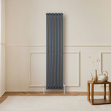 Gliederheizkörper in Anthrazitgrau, 1600mm x 360mm, vertikale Röhrenstruktur, modern, elegant, ideal für stilvolle Wohnräume, auf hellem Hintergrund