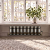 Klassischer 2-Säulen-Heizkörper – 300 x 1010 mm