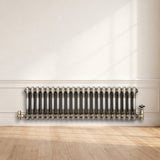 Klassischer 2-Säulen-Heizkörper – 300 x 1010 mm