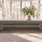 Klassischer 2-Säulen-Heizkörper – 300 x 1460 mm