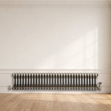 Klassischer 2-Säulen-Heizkörper – 300 x 1460 mm