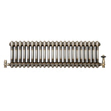 Klassischer 2-Säulen-Heizkörper mit TRV – 300 x 1010 mm - Rohmetall