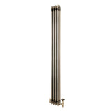 Klassischer 3-Säulen-Heizkörper mit TRV – 1800 x 200 mm - Rohmetall