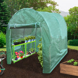 Polytunnel 19mm 3m x 2m mit Regale