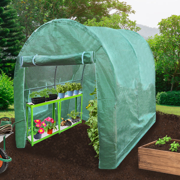 Polytunnel 19mm 4m x 2m mit Regale