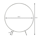 Hochzeit Ballonbogen Silber 200cm