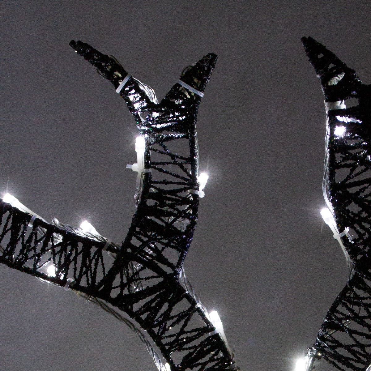 Schwarze, beleuchtete Rentiergeweihe mit weißen LED-Lichtern, die eine festliche Atmosphäre schaffen, ideal für Weihnachtsdekorationen